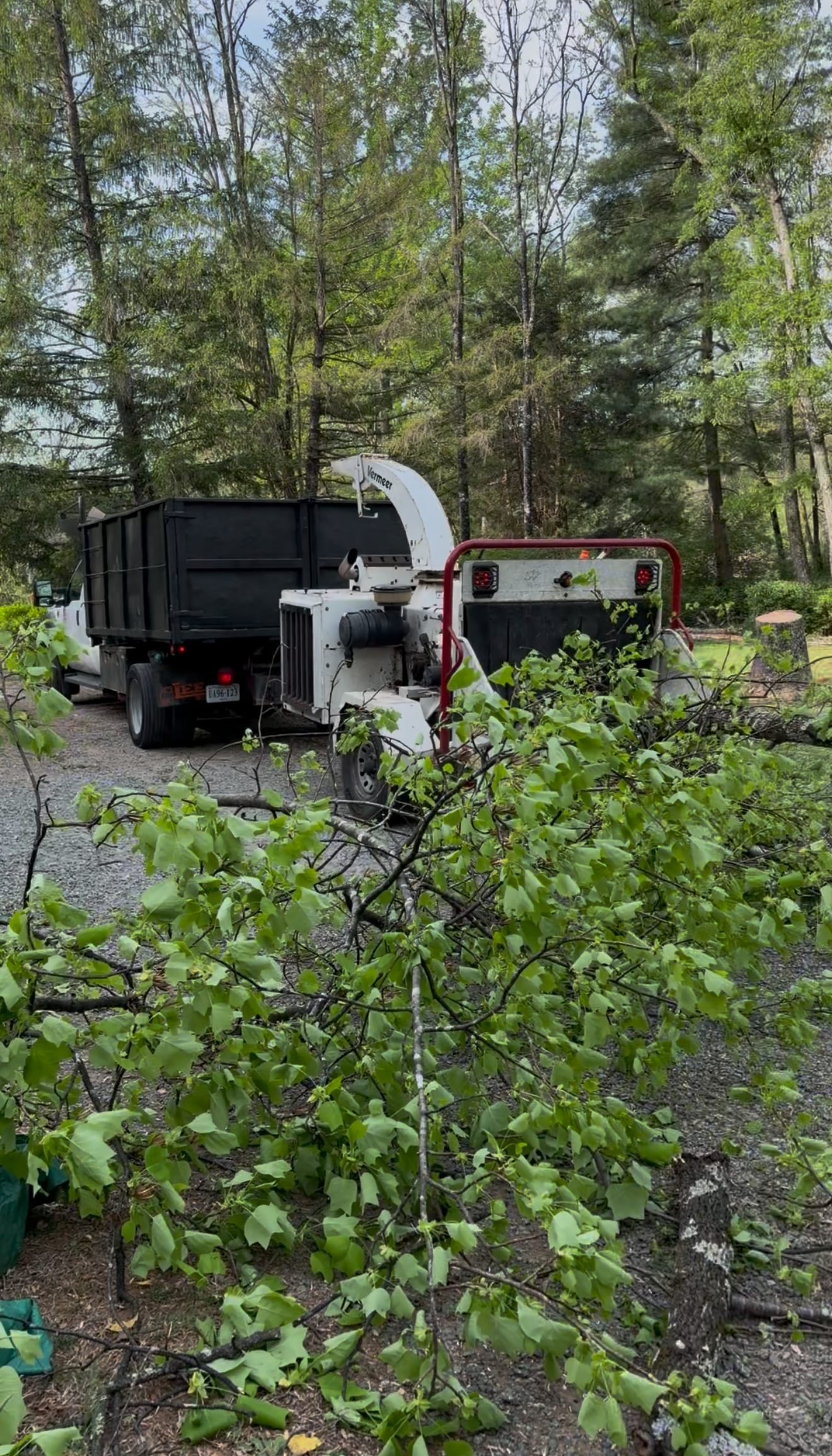Chipper Truck & Fresh Branches