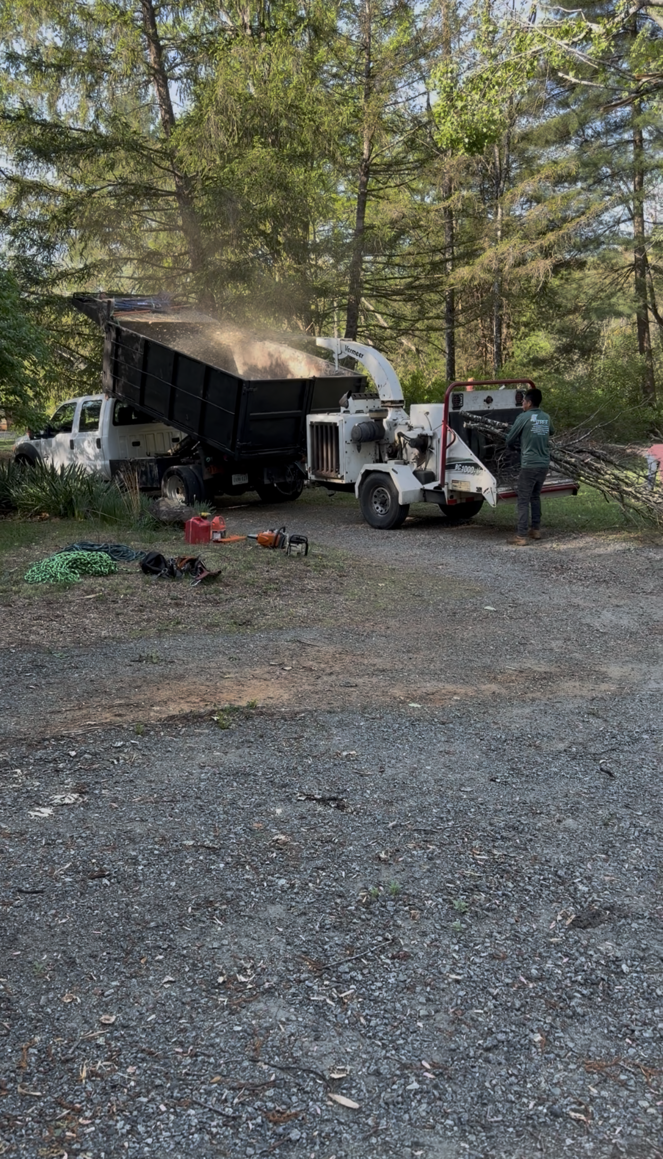 Chipper & Crew on the Job
