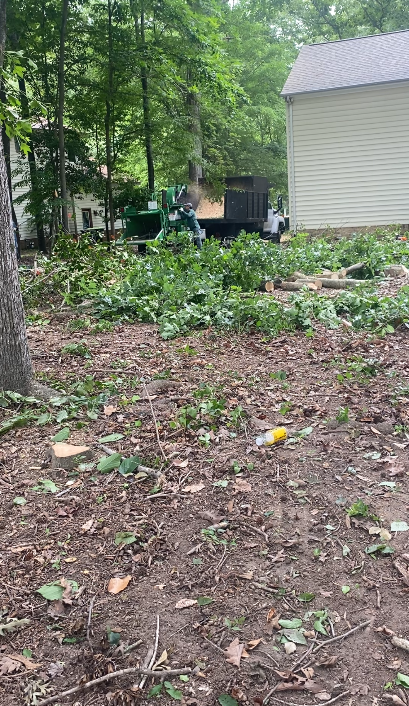 Lot Clearing & Chipping