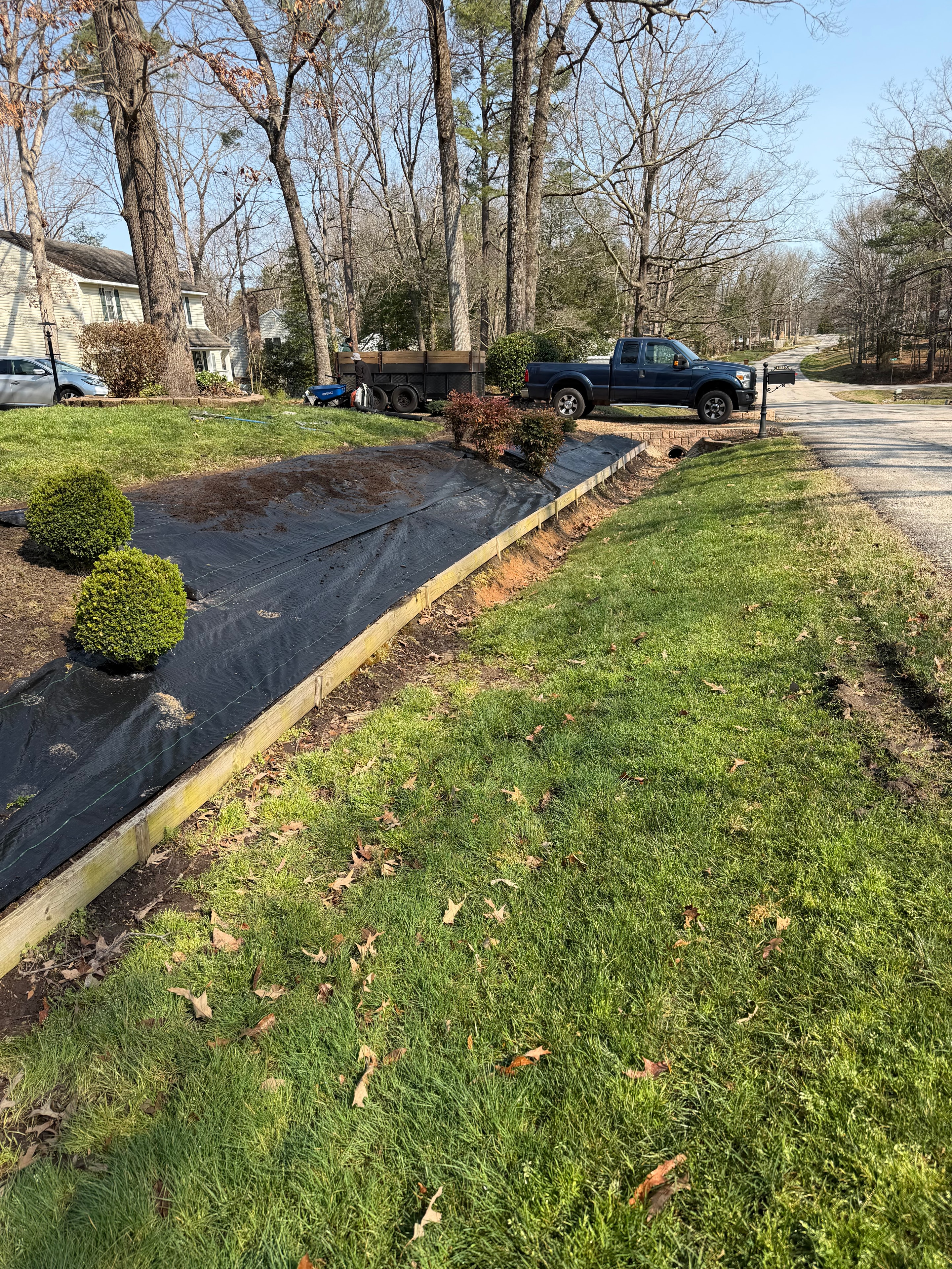 Lot Clearing & Driveway