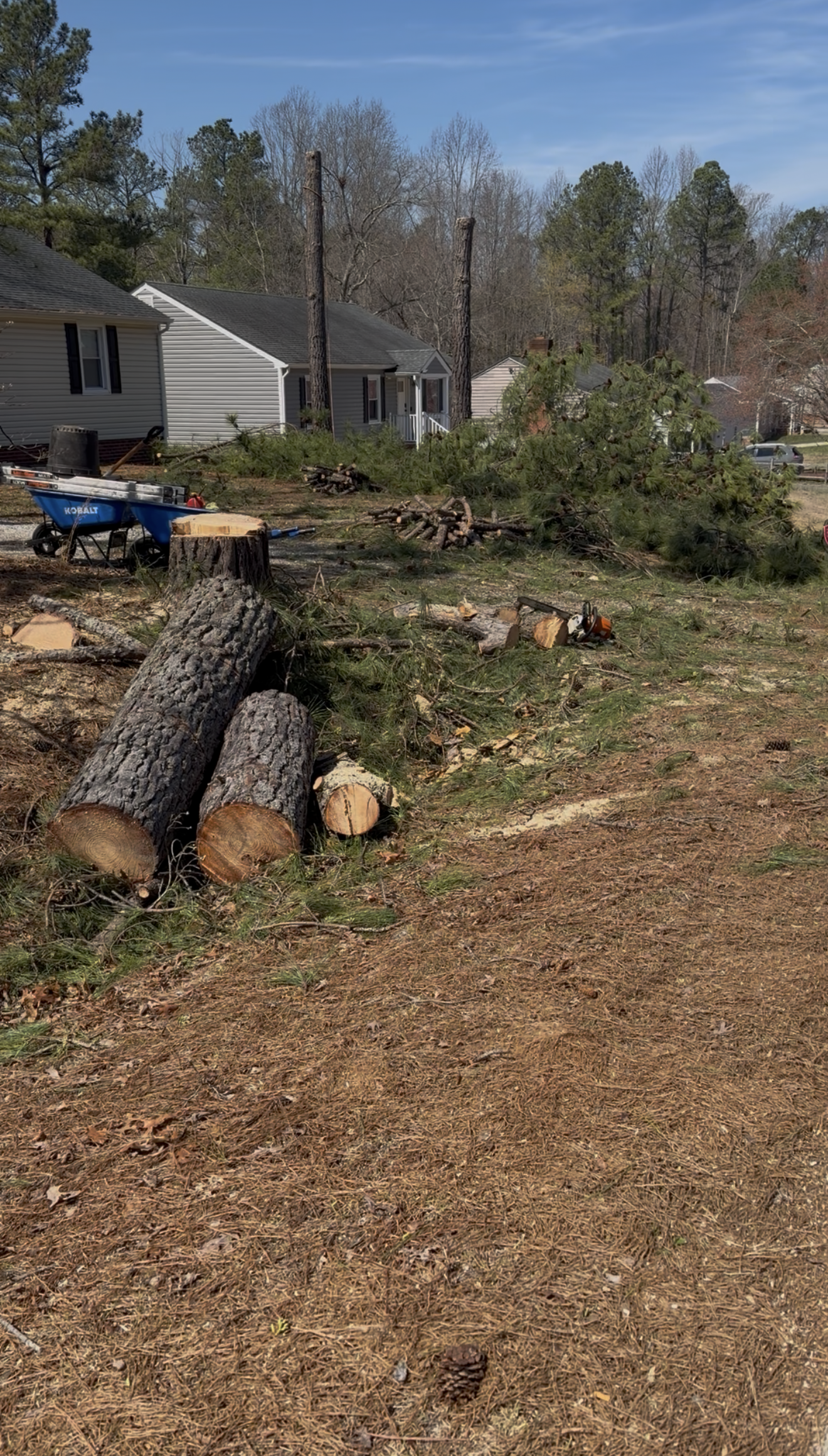 Lot Clearing & Stump Removal