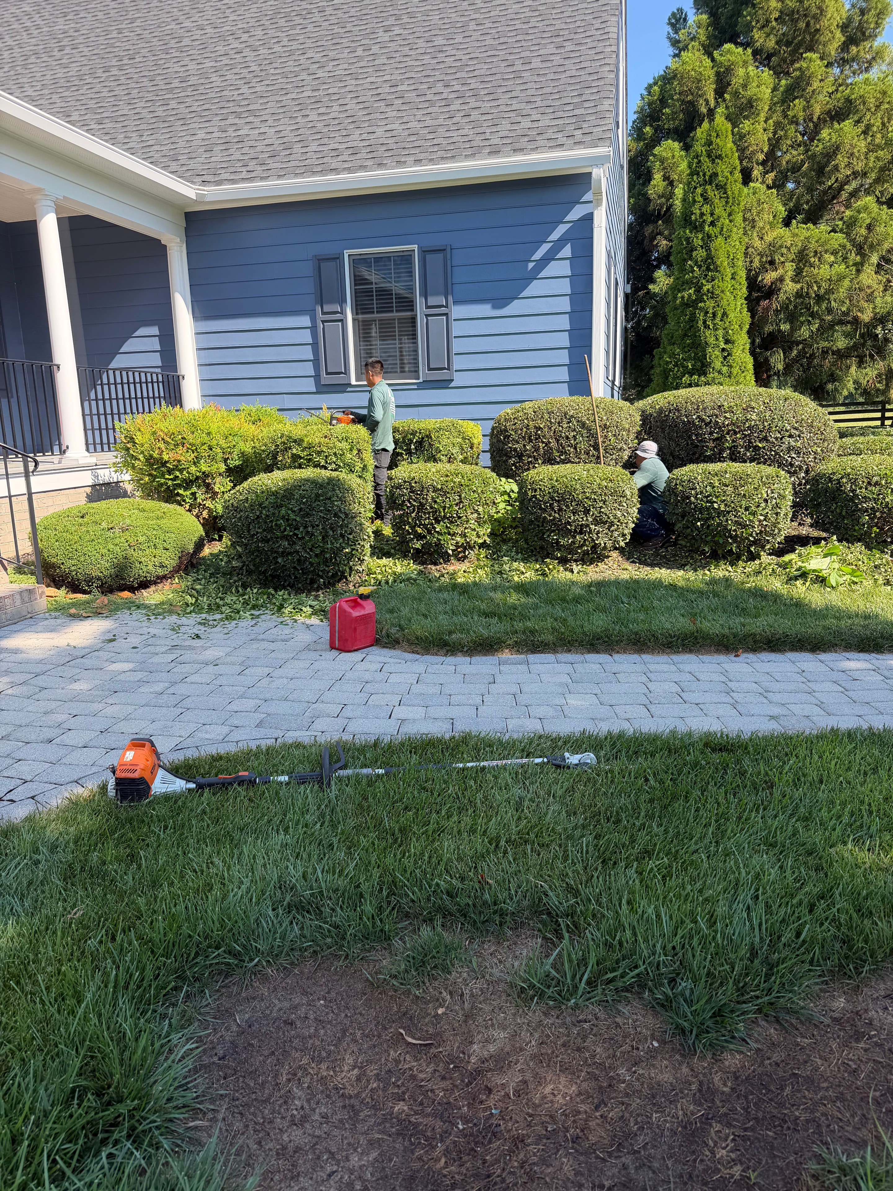 Shrub Trimming — Residential
