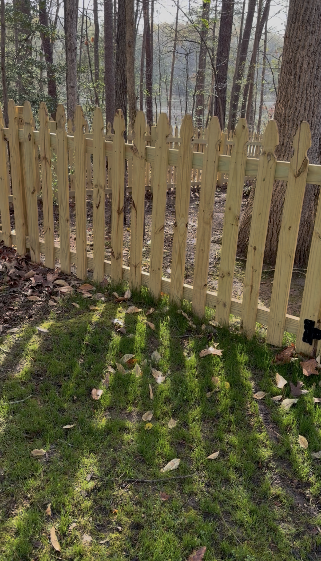 Wood Picket Fence